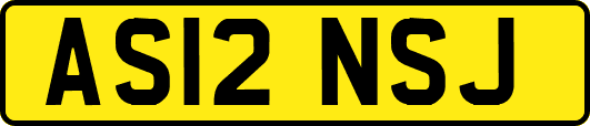AS12NSJ