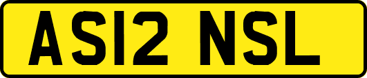 AS12NSL