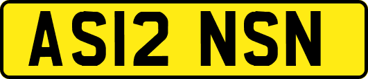 AS12NSN