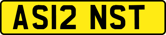AS12NST