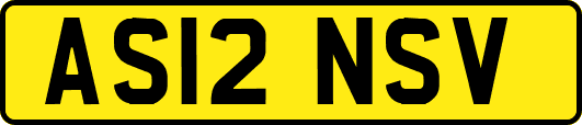 AS12NSV