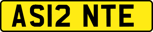 AS12NTE
