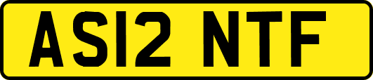 AS12NTF