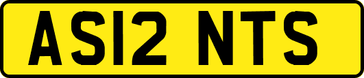 AS12NTS