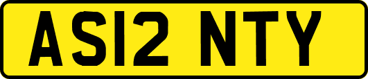 AS12NTY