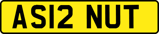AS12NUT