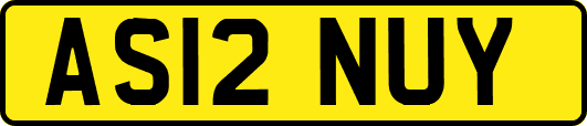 AS12NUY