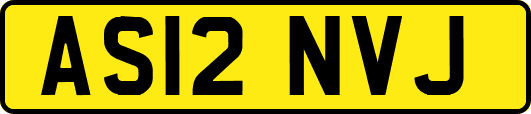 AS12NVJ