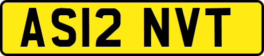 AS12NVT