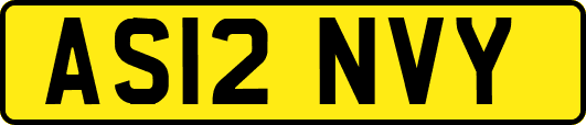 AS12NVY