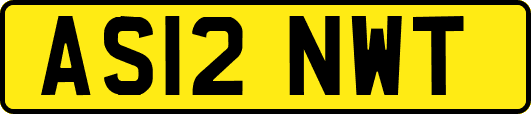 AS12NWT