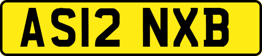 AS12NXB