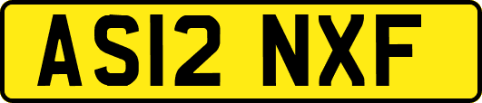 AS12NXF