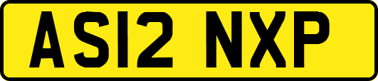 AS12NXP