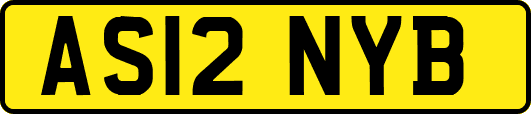 AS12NYB