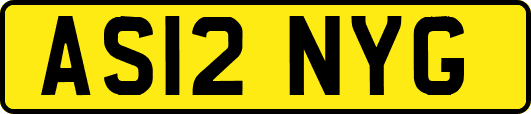 AS12NYG
