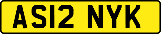 AS12NYK
