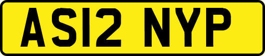 AS12NYP