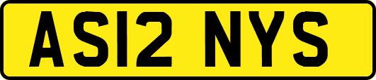 AS12NYS