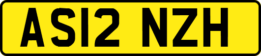 AS12NZH