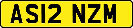 AS12NZM