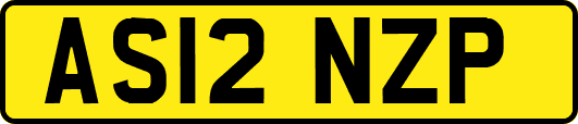 AS12NZP