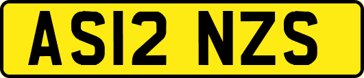 AS12NZS