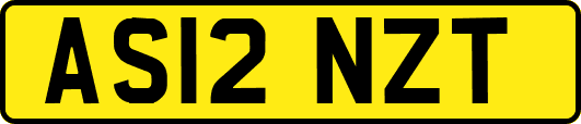 AS12NZT