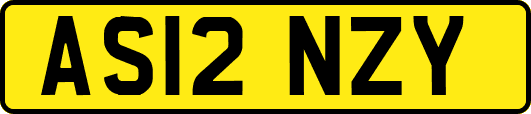 AS12NZY