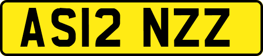 AS12NZZ