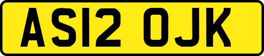 AS12OJK
