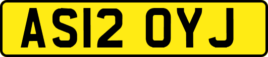 AS12OYJ