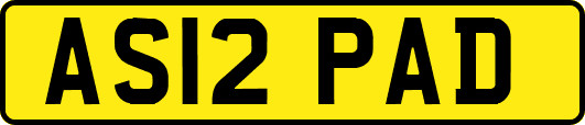 AS12PAD