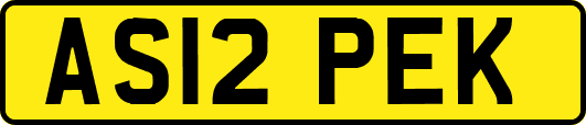 AS12PEK