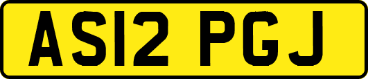 AS12PGJ