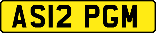AS12PGM