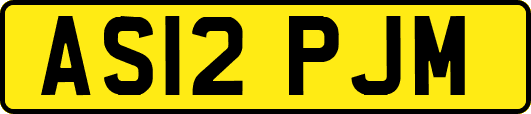 AS12PJM