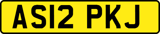 AS12PKJ