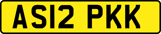AS12PKK