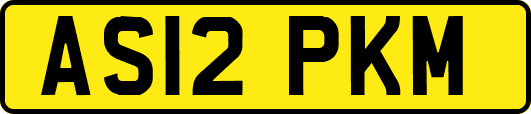 AS12PKM