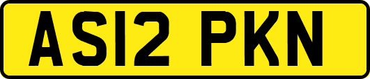 AS12PKN