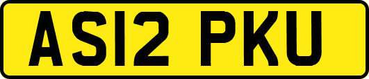 AS12PKU
