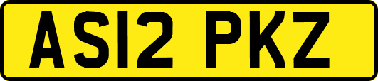 AS12PKZ