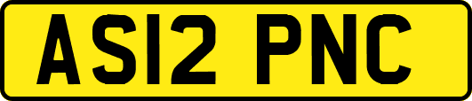 AS12PNC