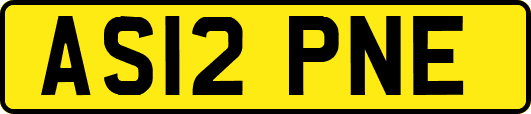 AS12PNE