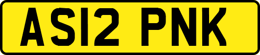 AS12PNK