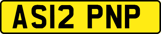 AS12PNP