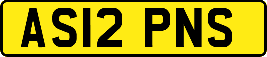 AS12PNS