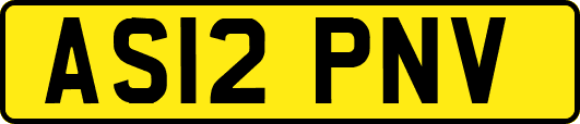 AS12PNV