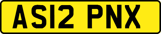 AS12PNX